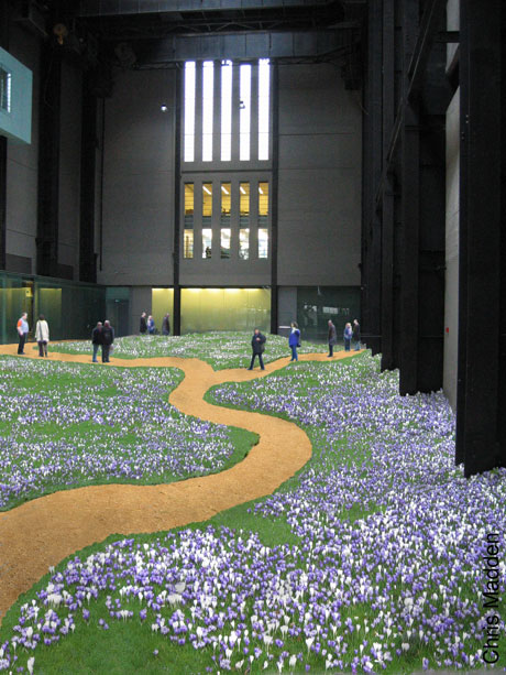 Tate Modern Turbine Hall installation - Crocus Carpet